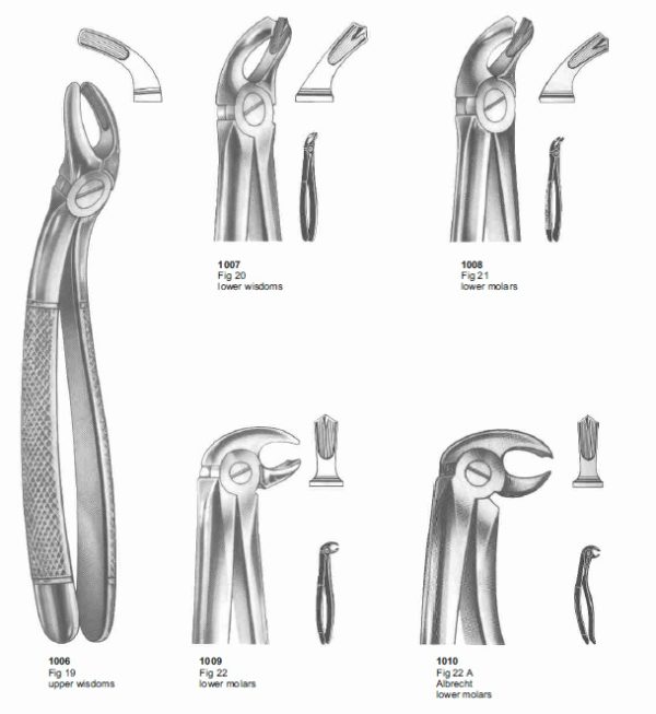 How many types of dental forceps are there? Next Exports
